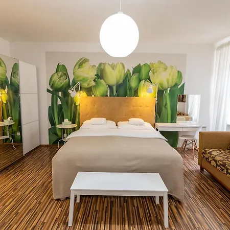 Palac Daun - Studio * Znojmo