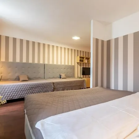 Palac Daun - Studio * Znojmo