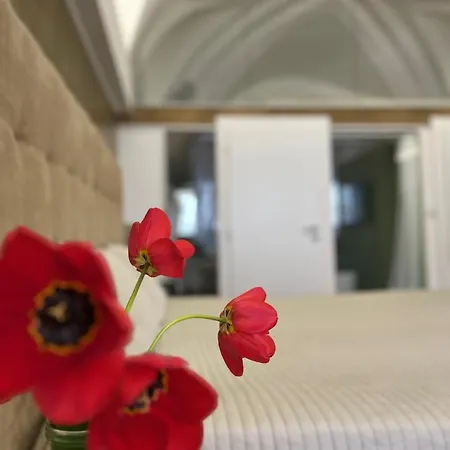 Palac Daun - Studio Znojmo