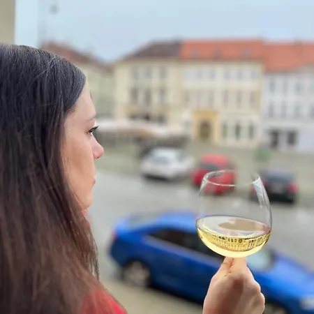 Palac Daun - * Znojmo