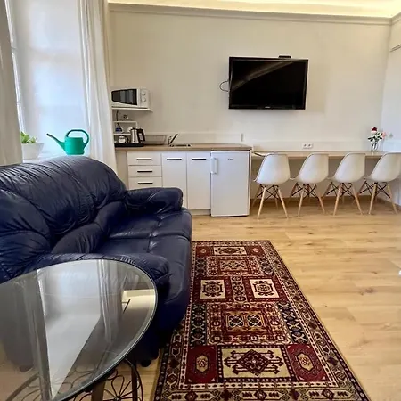 Apartment Palac Daun - Studio