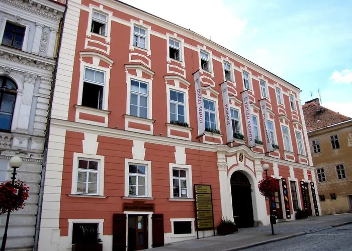 Apartman Palac Daun - *